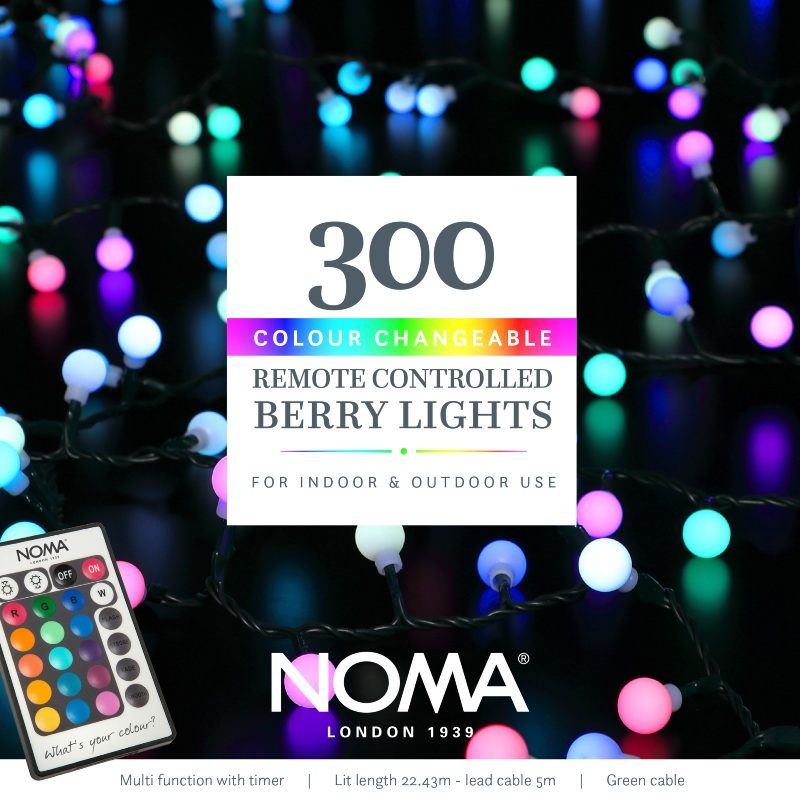 [NGL2521007NG] 300 Colour Changeable Remote Controlled Berry Lights