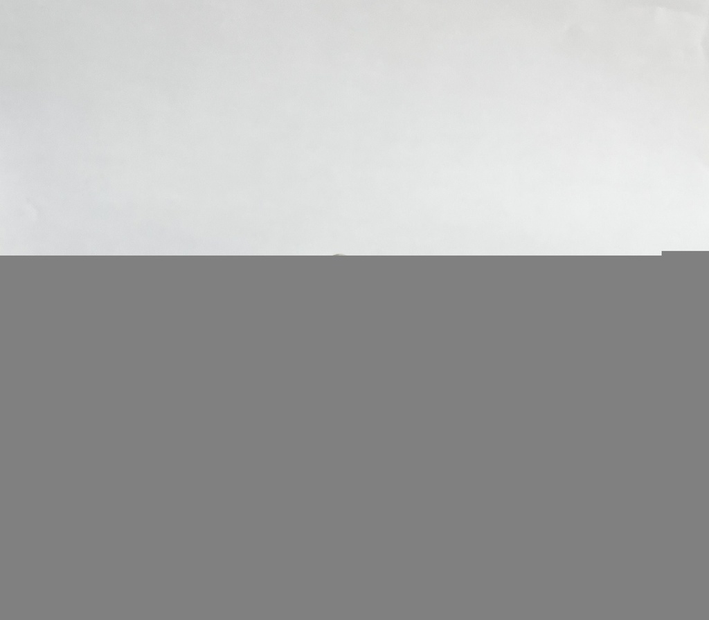 [IVRYFLTPBBL20-40POLY] Indonesian Ivory Pebbles 20-40mm